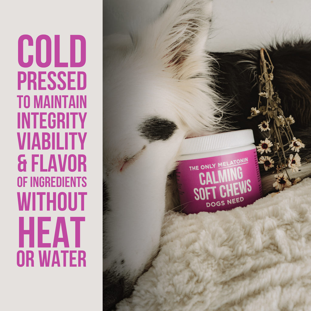 The Only Melatonin Calming Soft Chews Dogs Need: 120 count jar
