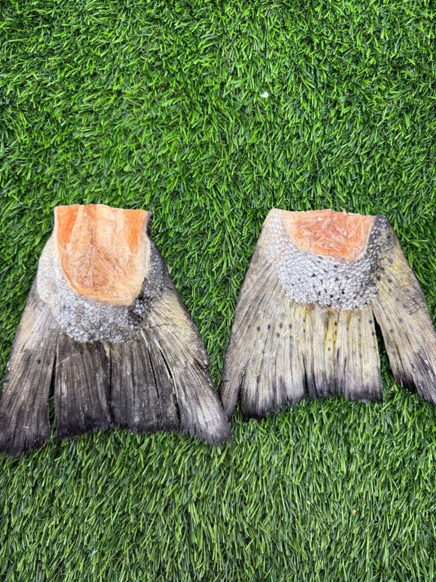 Freeze-Dried Salmon Tails Treat/Chew for Dogs - Bulk: 1 Salmon Tail - Unwrapped