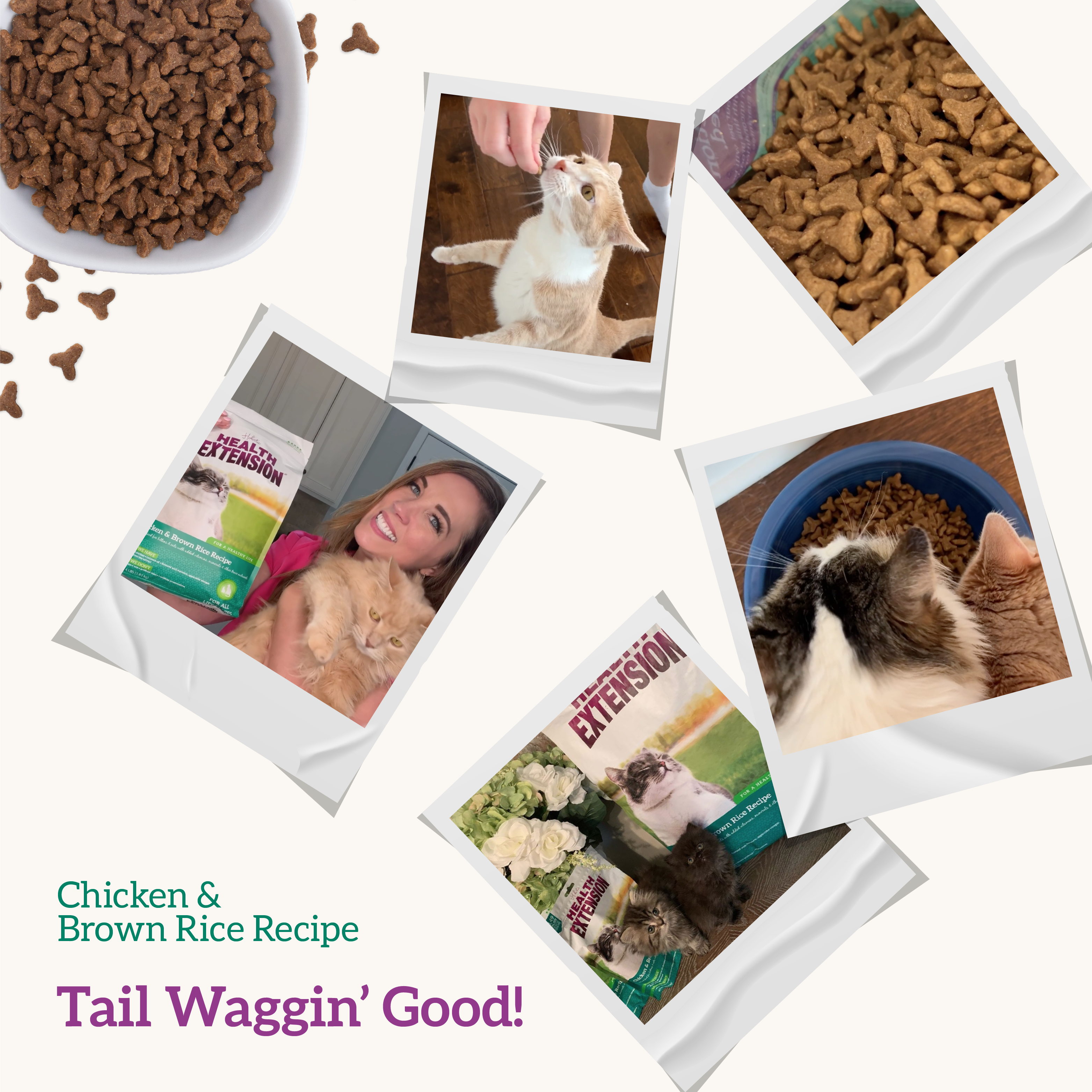 Chicken & Brown Rice Recipe: 15 lb