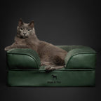 Faux Leather Orthopedic Pet Bed, Cooling Gel Foam, Sofa: Dark Green / S [20*15*8]