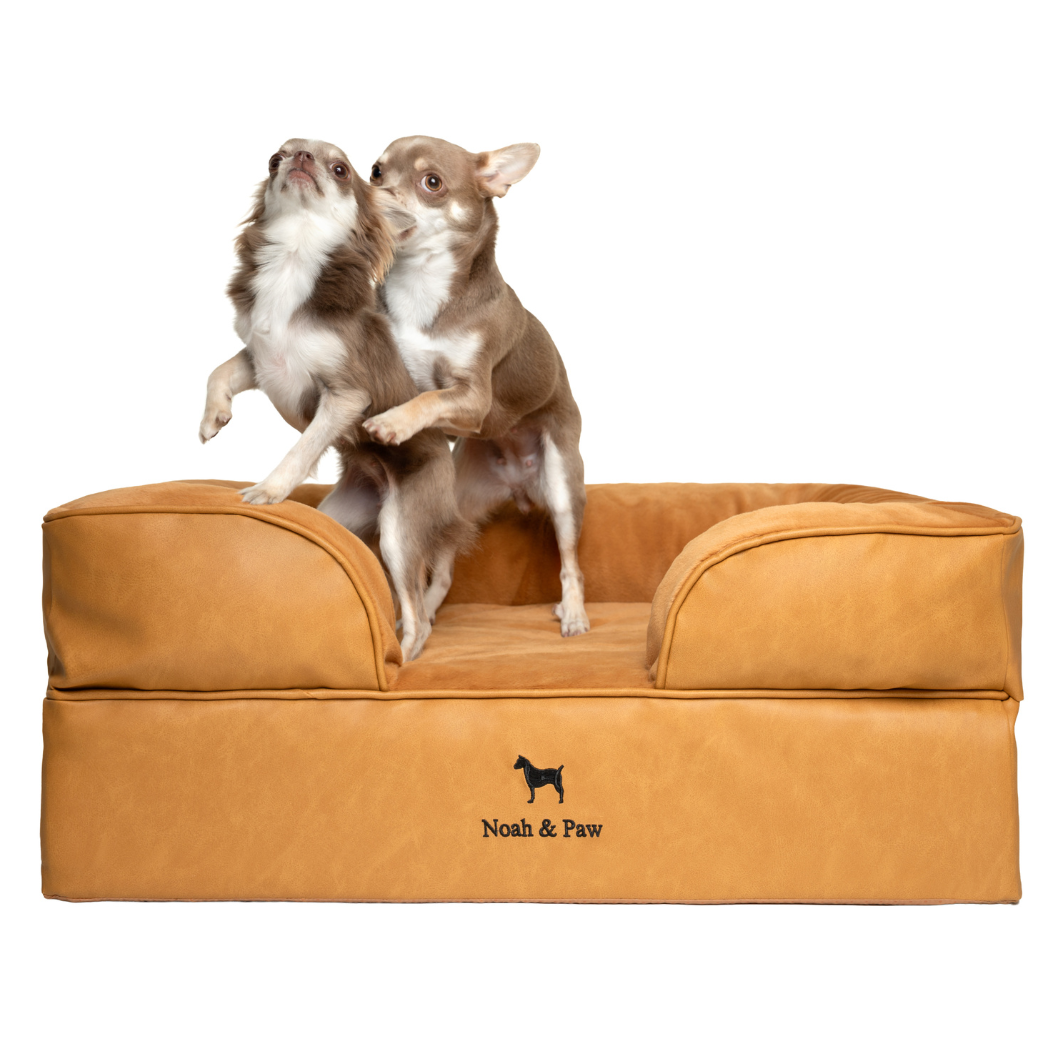Noah & Paw Orthopedic Sofa Bed | Camel | Large