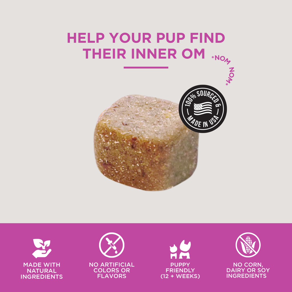 The Only Melatonin Calming Soft Chews Dogs Need: 120 count jar