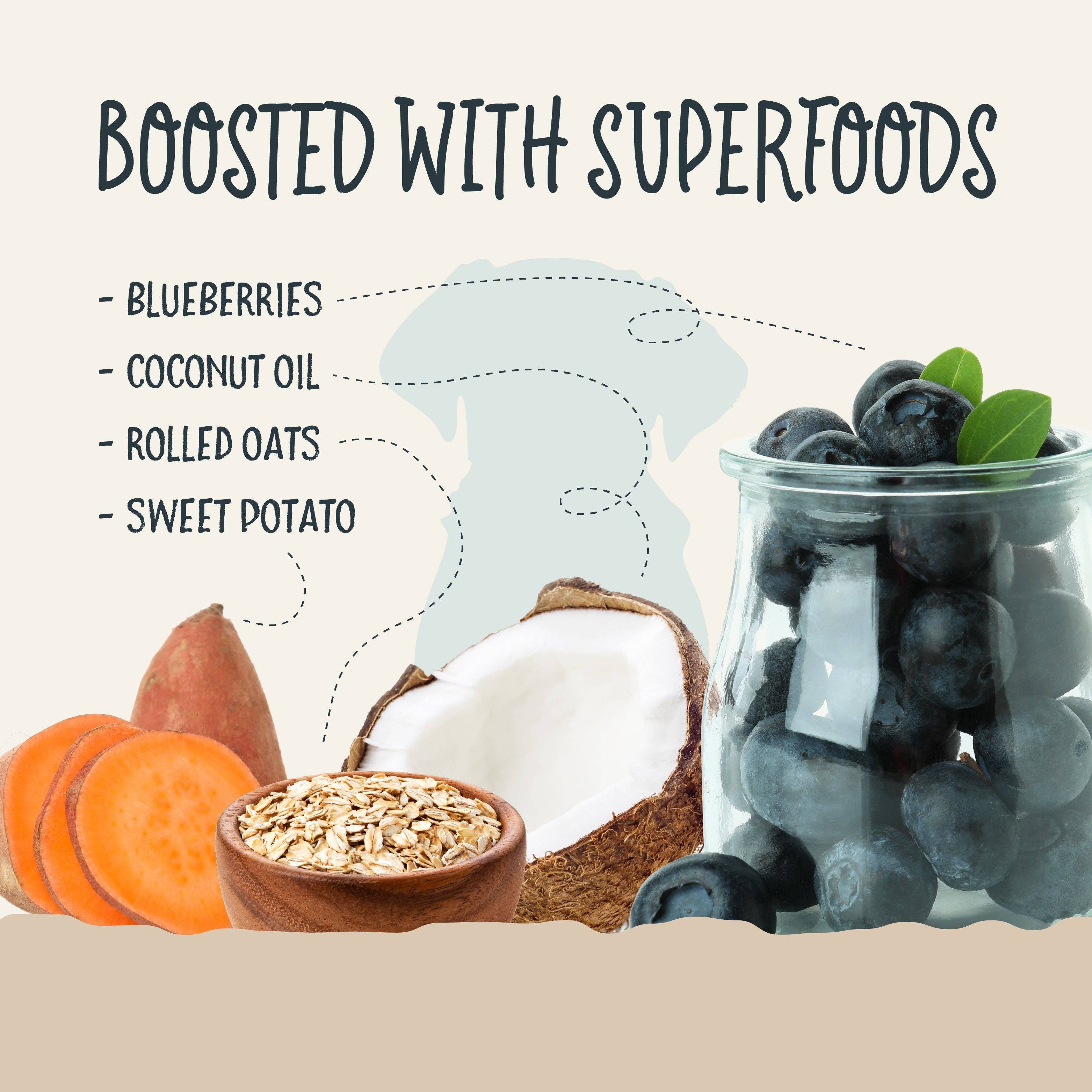 Sammy Snacks With Blueberries: 8oz