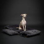 Dog Car Seat Carrier Orthopedic Foam, Black, Vegan Leather