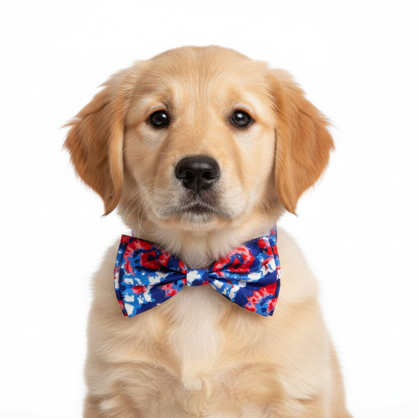 American Tie Dye Bow Tie | Huxley & Kent