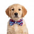 American Tie Dye Bow Tie | Huxley & Kent
