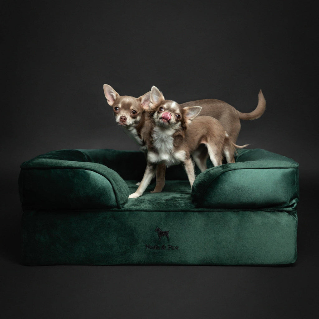 Velvet Orthopedic Pet Bed, Cooling Gel Memory Foam: S [20*15*8] / Brown
