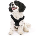 Escape Free Sport Harness | Black | Small