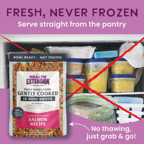 Gently Cooked Grain Free Salmon Recipe: 9oz pouch 5 pack