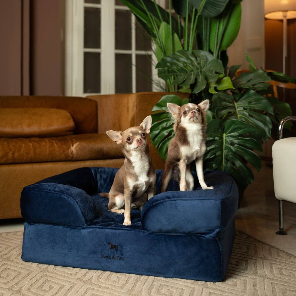 Velvet Orthopedic Pet Bed, Cooling Gel Memory Foam: S [20*15*8] / Brown