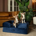 Velvet Orthopedic Pet Bed, Cooling Gel Memory Foam: S [20*15*8] / Brown