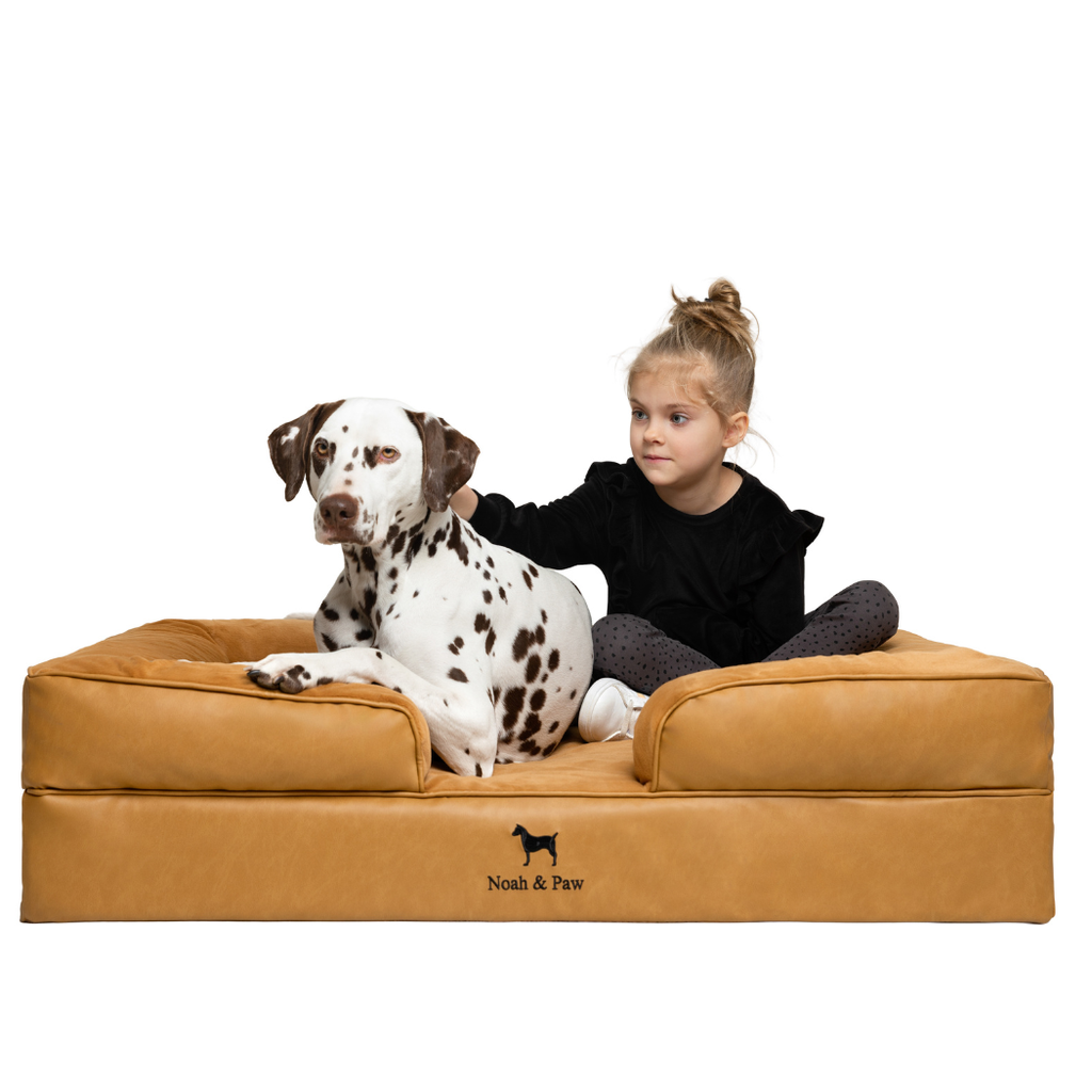 Noah & Paw Orthopedic Sofa Bed | Camel | Large