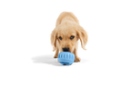 The Pupsicle - Wholesale Exclusive Color: X-Large