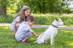 Pro Leather Dog Leash | Tan | Large