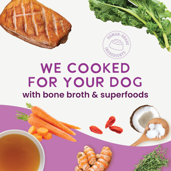 Health Extension Gently Cooked | Duck & Kale Recipe | 3 oz Pouch