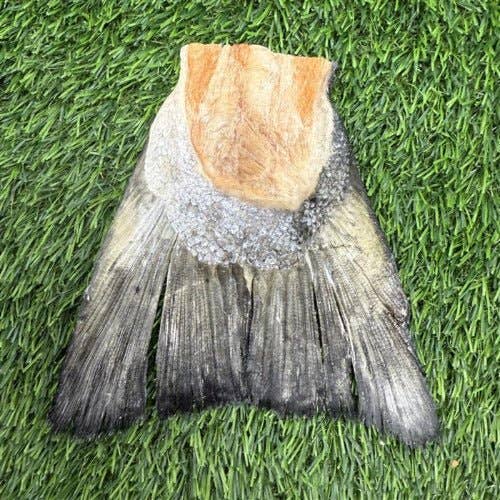 Freeze-Dried Salmon Tails Treat/Chew for Dogs - Bulk: 1 Salmon Tail - Unwrapped