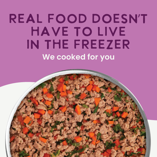 Gently Cooked Duck & Kale Recipe: 3oz pouch 10 pack