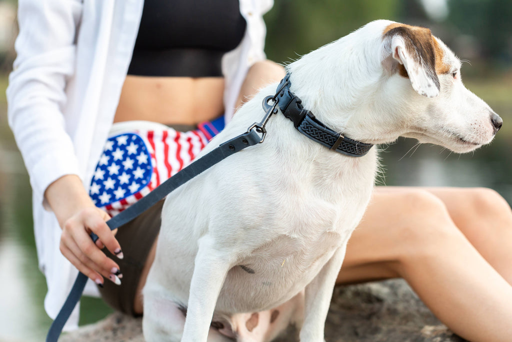 Celtic Style Leather Dog Collar | Navy | XL