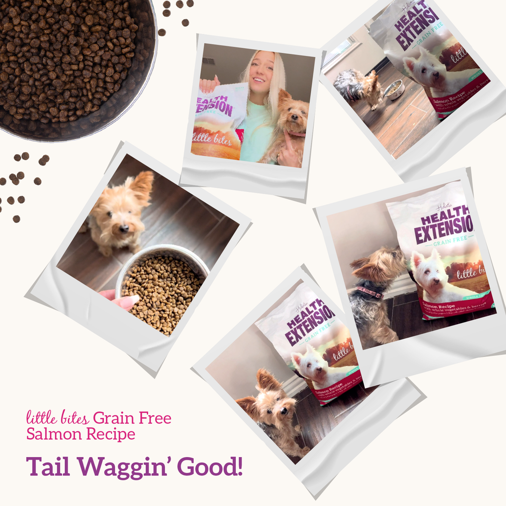 Grain Free Salmon & Sweet Potato Little Bites Recipe: 12lb