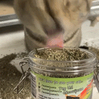 Meowijuana® Jar of Catnibas® Catnip Lemongrass Pawty Mix