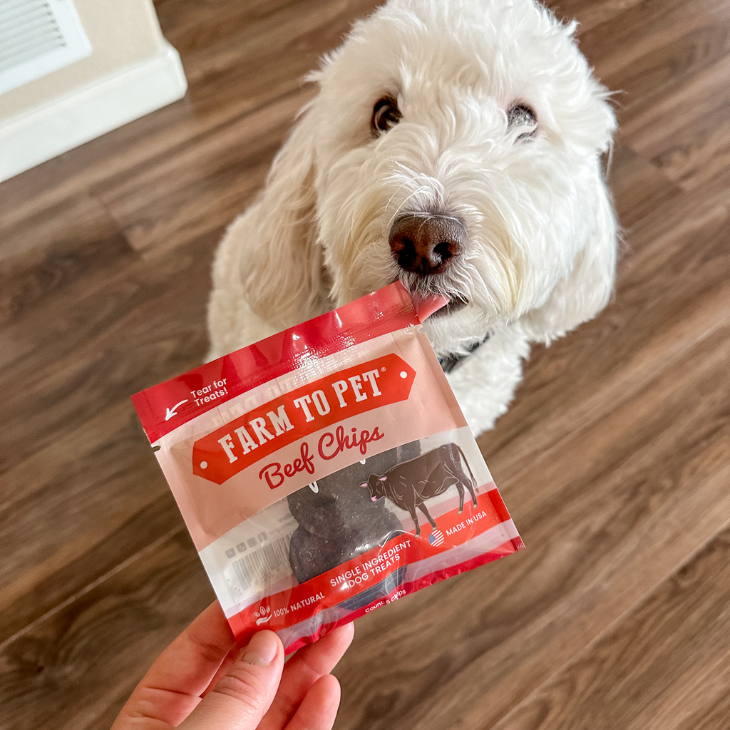 Beef Chips Healthy Dog Snack Pack Bundle | 24 Pack