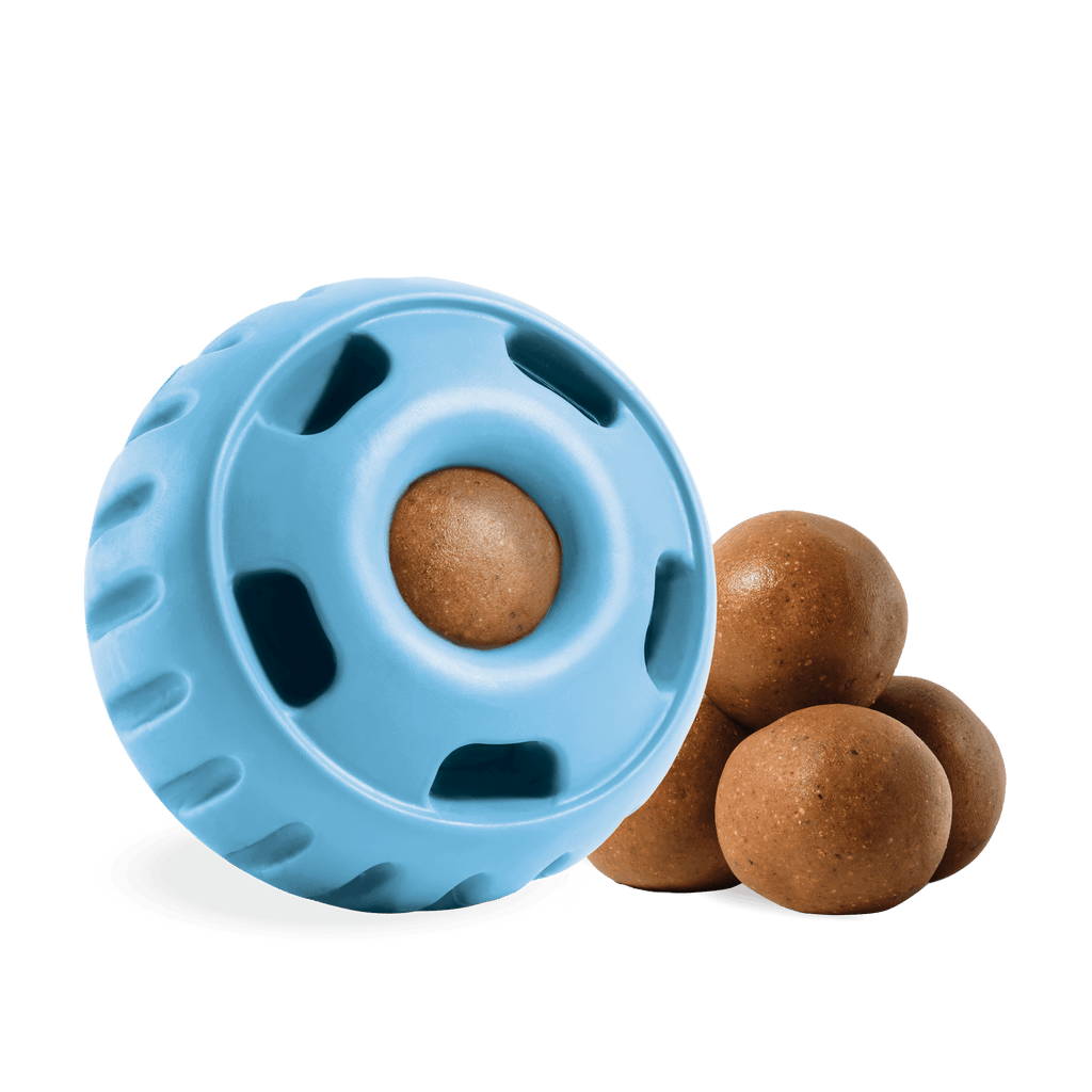 The Pupsicle - Wholesale Exclusive Color: X-Large