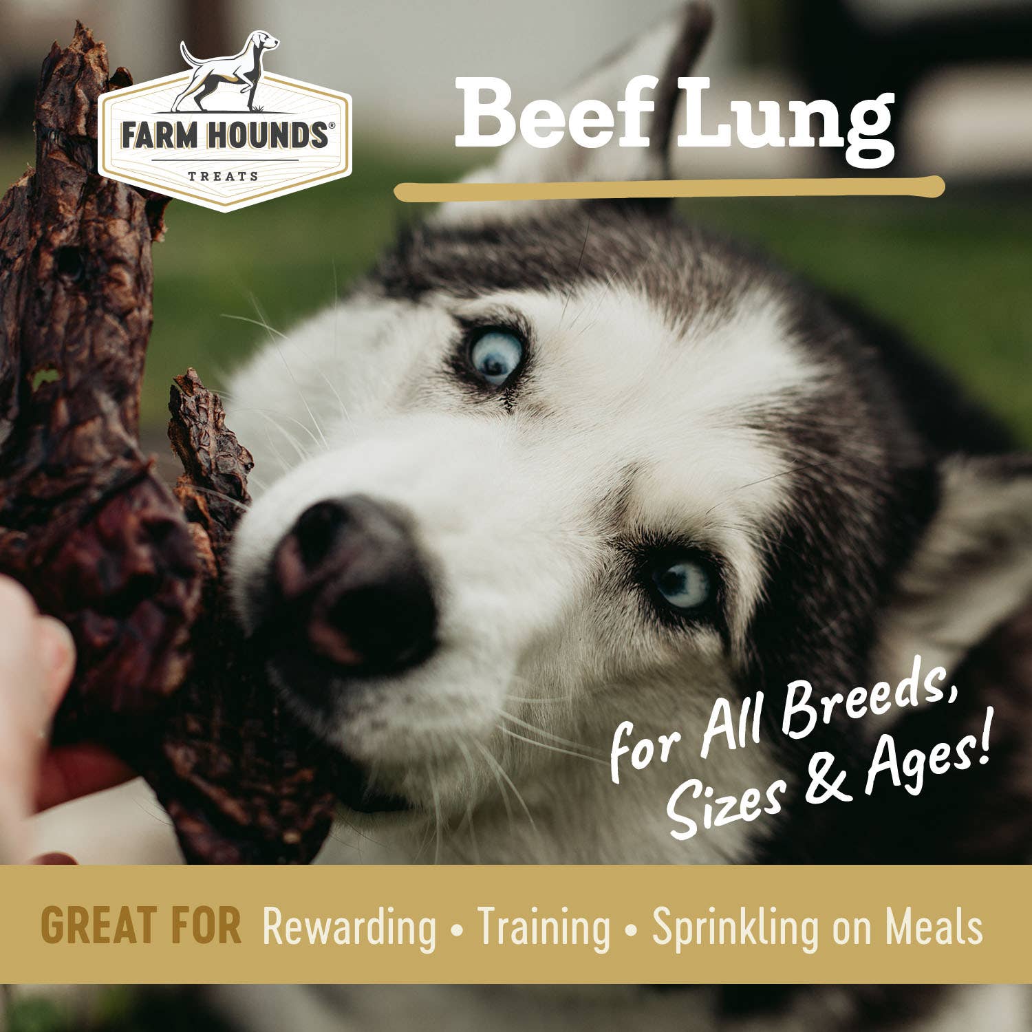 Beef Lung Dog Treats | 2 oz | All-Natural