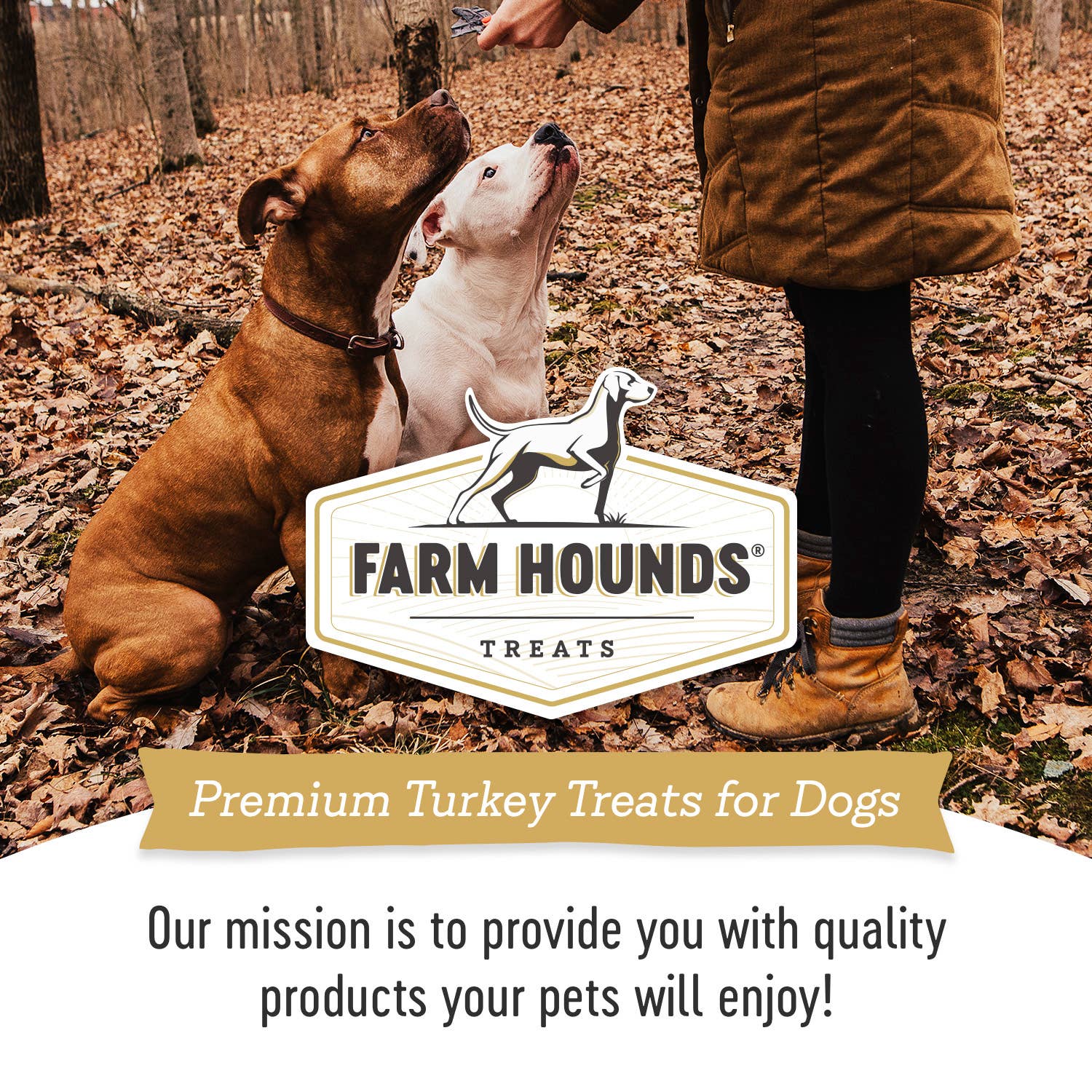 Skinless Turkey Neck | All-Natural Dog Chew
