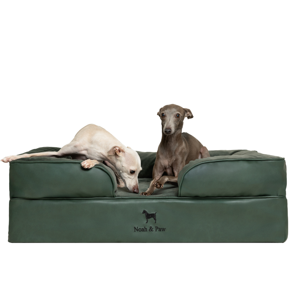 Noah & Paw Orthopedic Sofa Bed | Dark Green | Medium