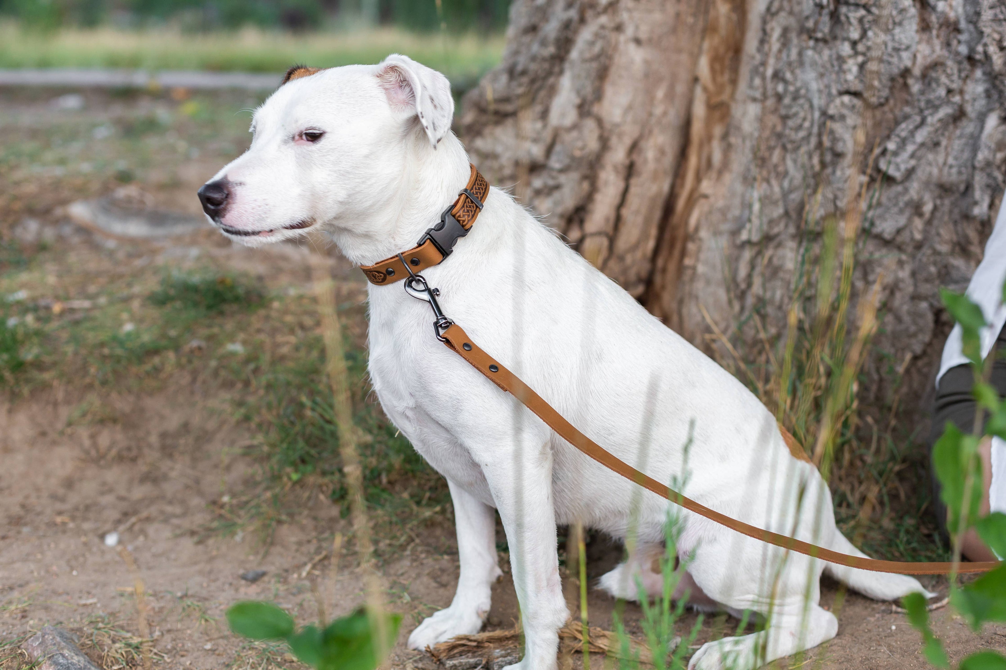 Celtic Style Leather Dog Collar | Navy | Small