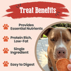 Farm to Pet Turkey Chips | 10 Pack