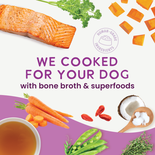 Gently Cooked Grain Free Salmon Recipe: 9oz pouch 5 pack