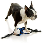 #04234 - Comfort X Step In Lite Harness: Pink / Small Chest (14-17")