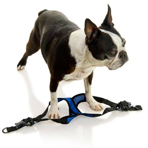 #04234 - Comfort X Step In Lite Harness: Pink / X-Large Chest (22-28")