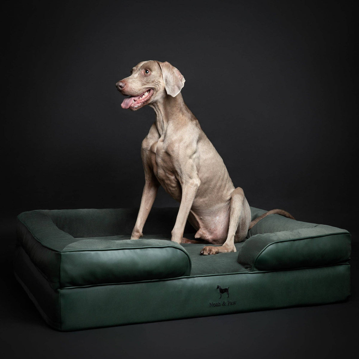 Faux Leather Orthopedic Pet Bed, Cooling Gel Foam, Sofa: Dark Green / S [20*15*8]