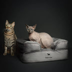 Velvet Orthopedic Pet Bed, Cooling Gel Memory Foam: S [20*15*8] / Brown