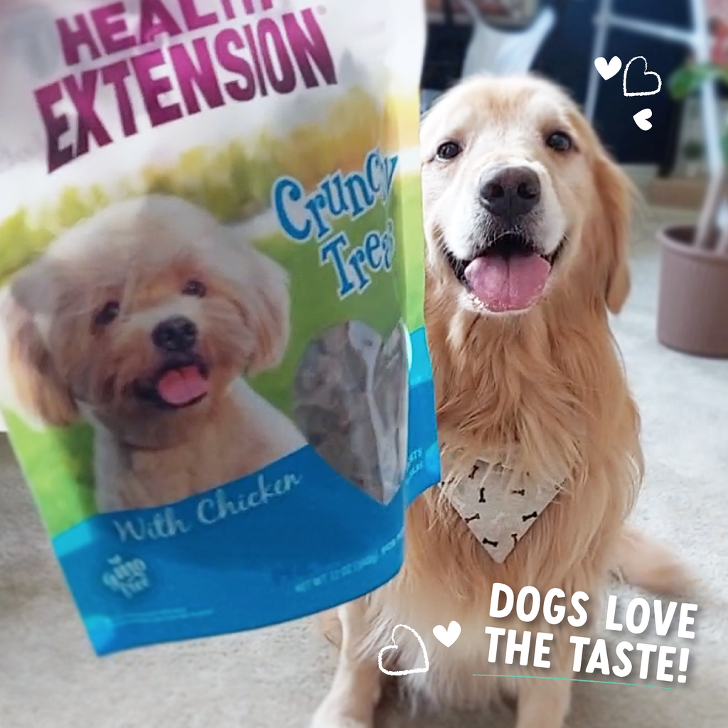 Crunchy Heart Shaped Treats - Chicken: Small