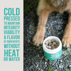 The Only Digestive Support Soft Chews Dogs Need: 120 count jar