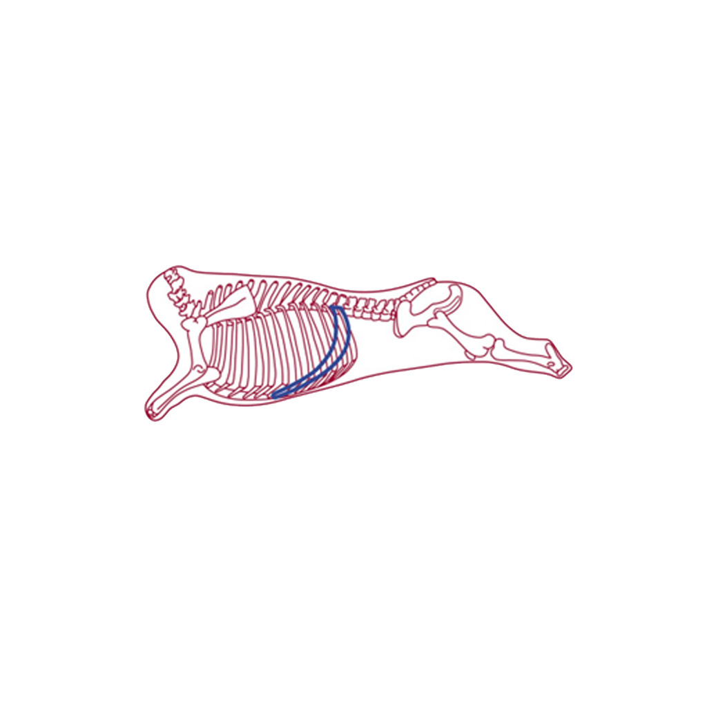 Skirt Steak Bar 6" 20cs