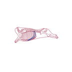 Skirt Steak Bar 6" 20cs