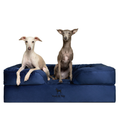 Noah & Paw Velvet Orthopedic Sofa Bed | Navy Blue | Medium