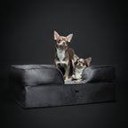 Velvet Orthopedic Pet Bed, Cooling Gel Memory Foam: S [20*15*8] / Brown