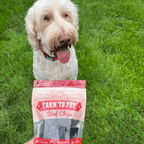 Beef Chips Dog Treats | 4 oz