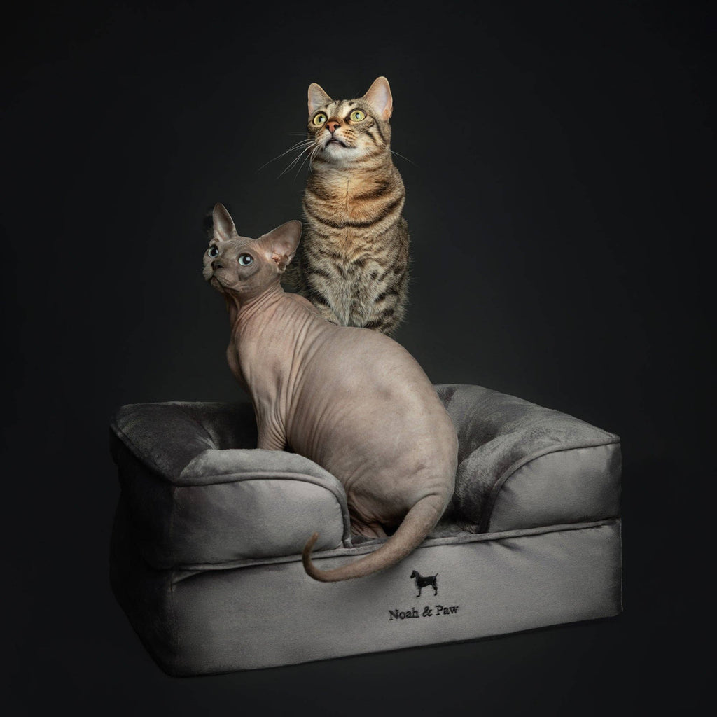 Velvet Orthopedic Pet Bed, Cooling Gel Memory Foam: S [20*15*8] / Brown