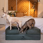 Faux Leather Orthopedic Pet Bed, Cooling Gel Foam, Sofa: Dark Green / S [20*15*8]