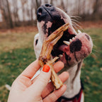 Duck Foot | All-Natural Dog Chew