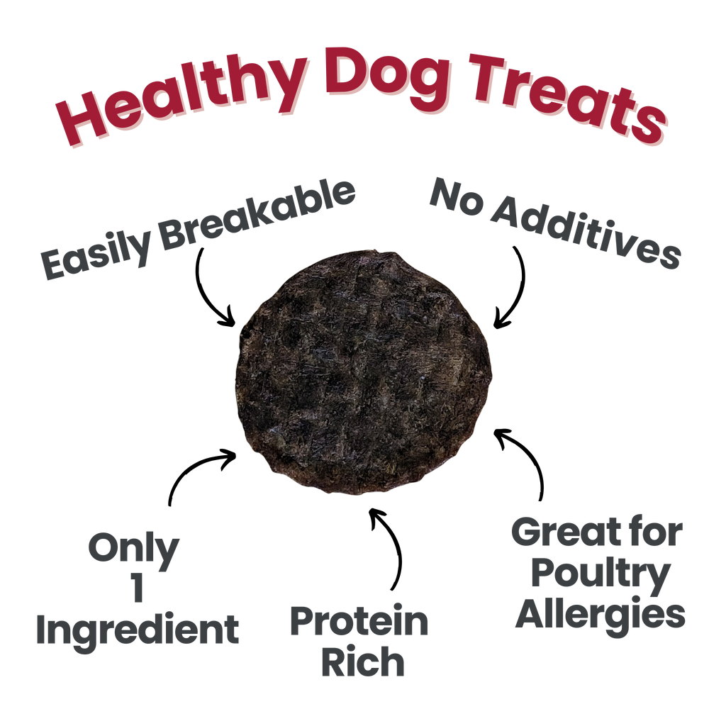 Beef Chips Healthy Dog Snack Pack Bundle | 24 Pack