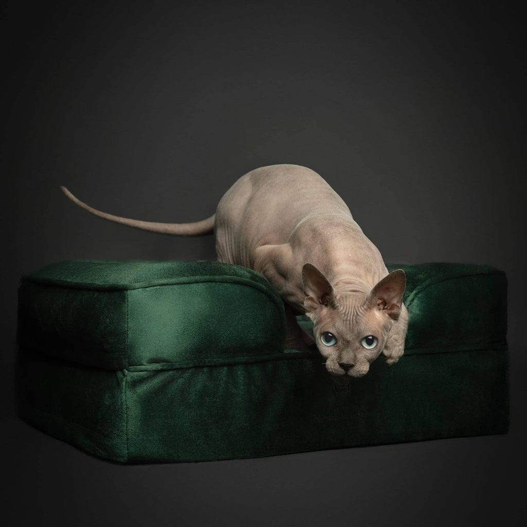 Velvet Orthopedic Pet Bed, Cooling Gel Memory Foam: S [20*15*8] / Brown