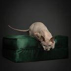 Velvet Orthopedic Pet Bed, Cooling Gel Memory Foam: S [20*15*8] / Brown