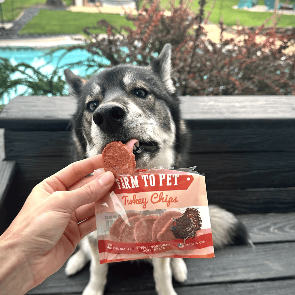 Turkey Chips Healthy Dog Snack Pack Bundle (24 pack): 24